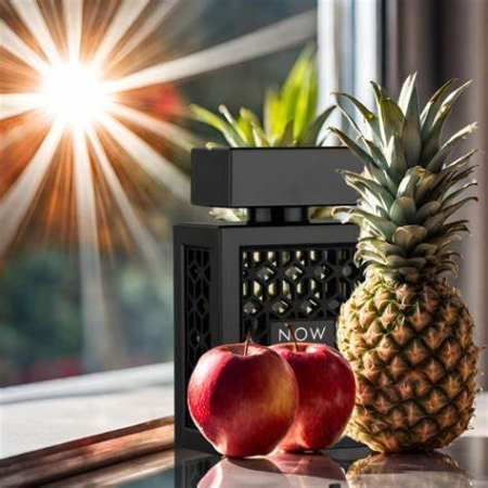 Store_01jr8z9ezh7pphtw0a28cgtpdt_assets_1744721867467-oip2